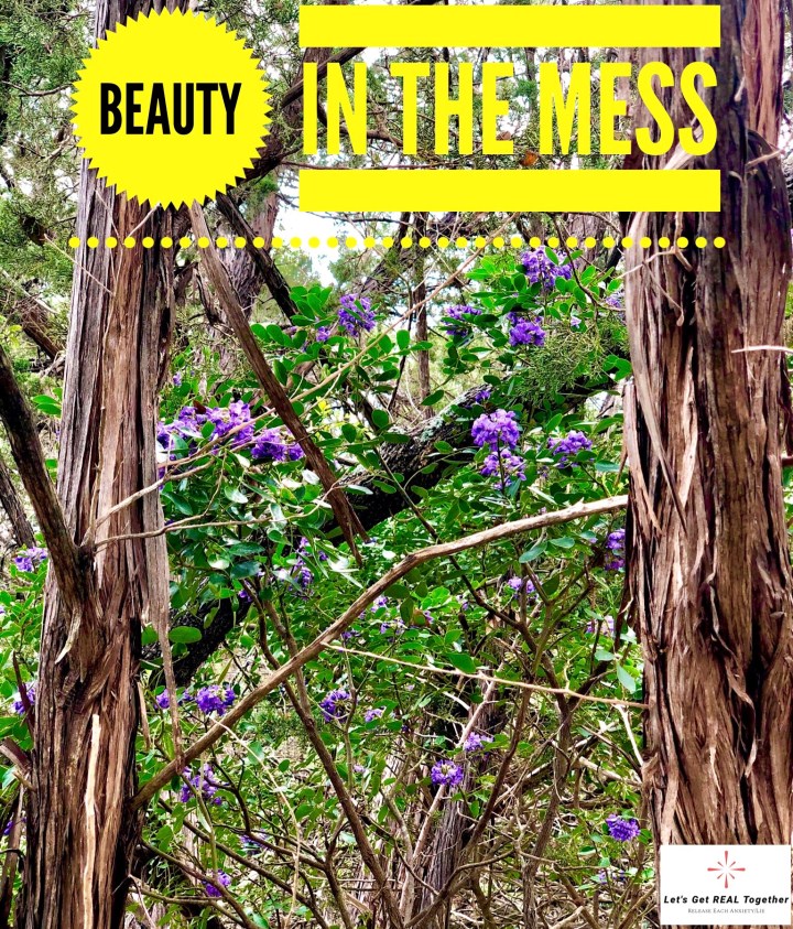 Beauty in the&nbsp;Mess